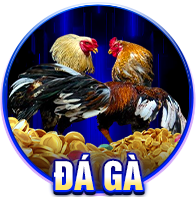 Đá gà kubet