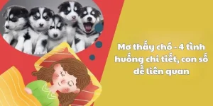 Mơ thấy chó - 4 tình huống liên quan đến số đề