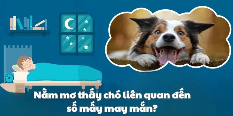 Những con số may mắn mà mọi thành viên đều phải nắm vững