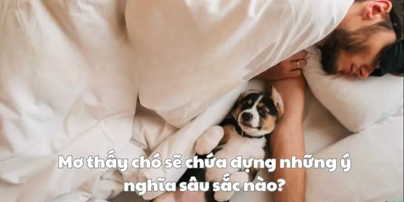 Ý nghĩa tâm linh, chung chung về mơ thấy chó 