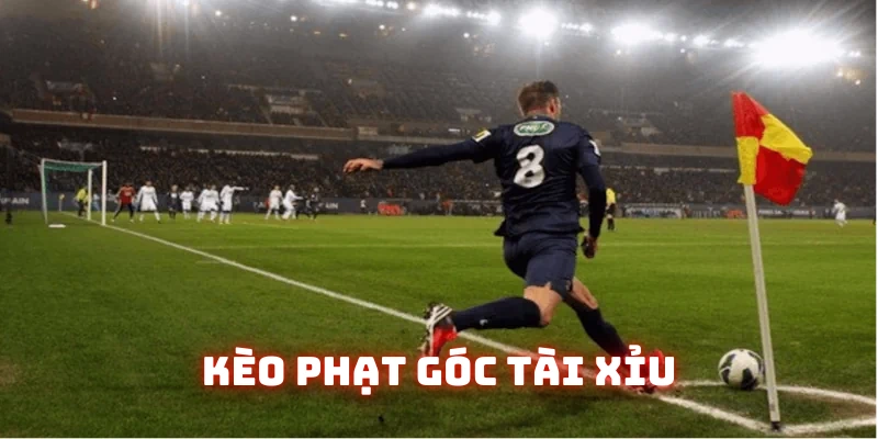 Hình thức tài xỉu đơn giản cho mọi khách hàng